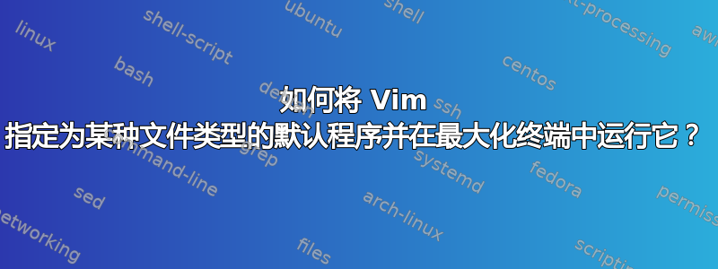 如何将 Vim 指定为某种文件类型的默认程序并在最大化终端中运行它？