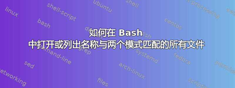 如何在 Bash 中打开或列出名称与两个模式匹配的所有文件