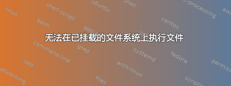 无法在已挂载的文件系统上执行文件