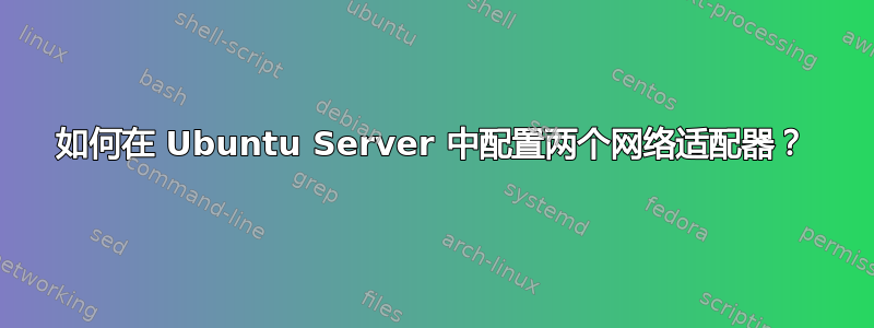 如何在 Ubuntu Server 中配置两个网络适配器？