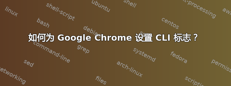 如何为 Google Chrome 设置 CLI 标志？