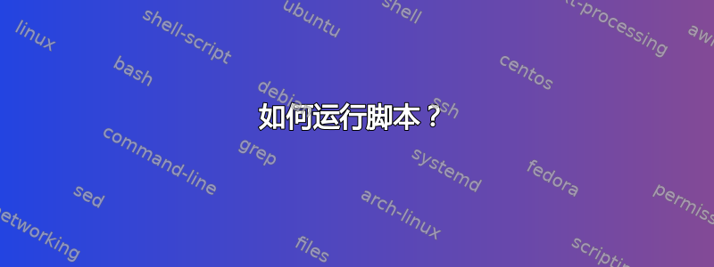 如何运行脚本？