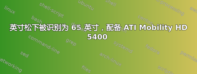 42 英寸松下被识别为 65 英寸，配备 ATI Mobility HD 5400