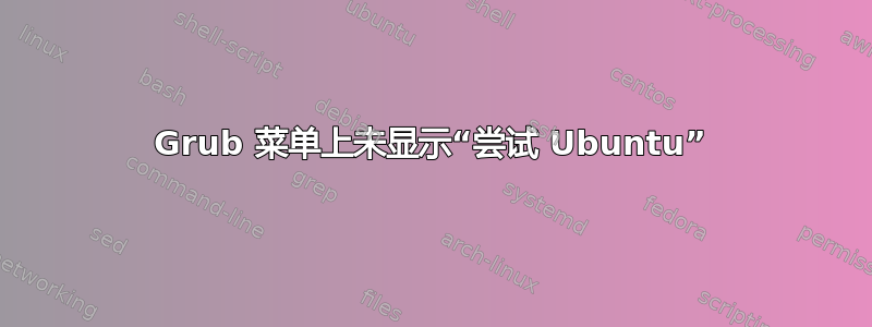 Grub 菜单上未显示“尝试 Ubuntu”