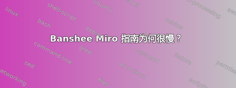 Banshee Miro 指南为何很慢？