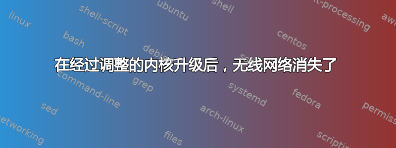 在经过调整的内核升级后，无线网络消失了