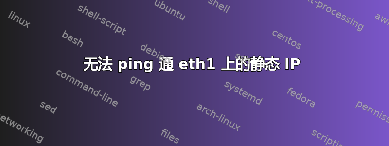 无法 ping 通 eth1 上的静态 IP