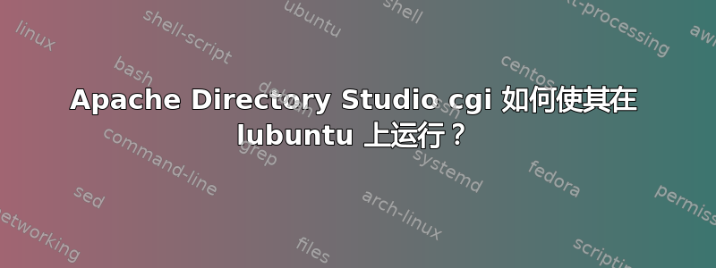 Apache Directory Studio cgi 如何使其在 lubuntu 上运行？