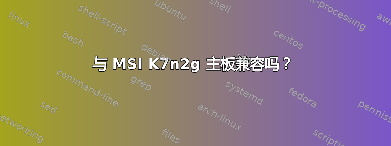 与 MSI K7n2g 主板兼容吗？