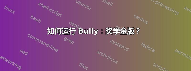 如何运行 Bully：奖学金版？