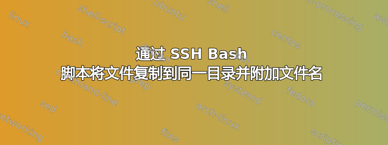 通过 SSH Bash 脚本将文件复制到同一目录并附加文件名