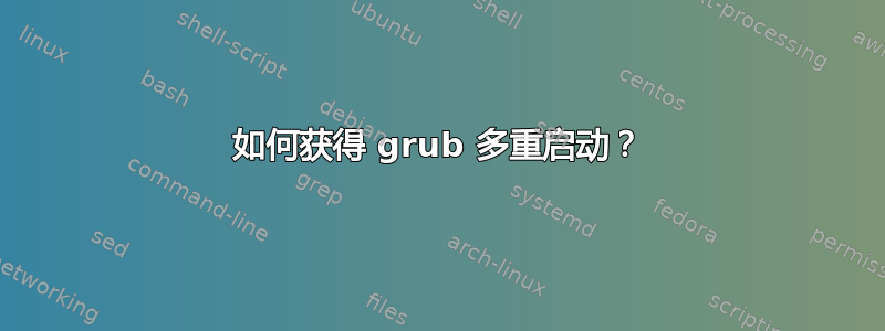 如何获得 grub 多重启动？