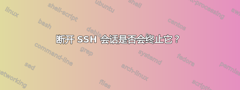 断开 SSH 会话是否会终止它？