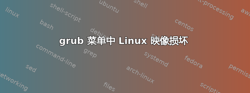 grub 菜单中 Linux 映像损坏