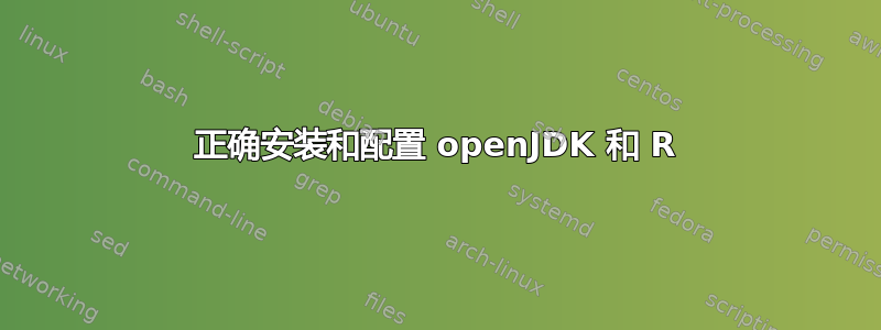 正确安装和配置 openJDK 和 R