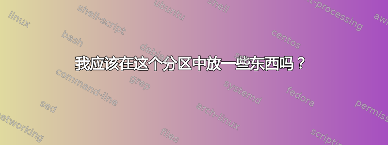 我应该在这个分区中放一些东西吗？