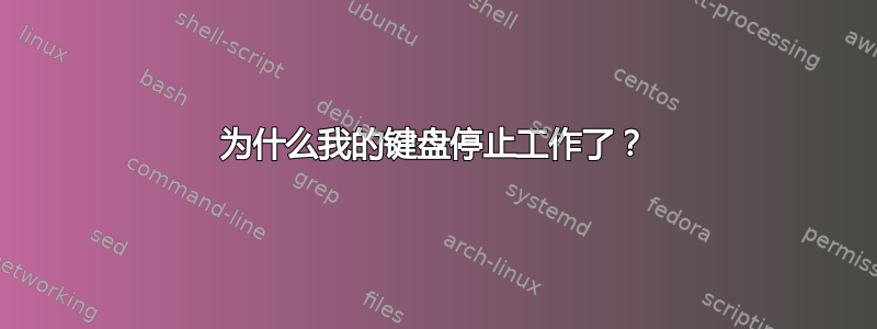 为什么我的键盘停止工作了？