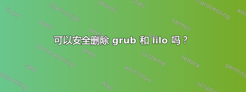 可以安全删除 grub 和 lilo 吗？