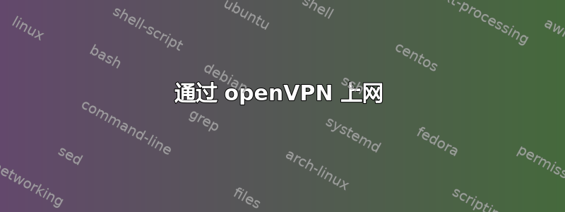 通过 openVPN 上网