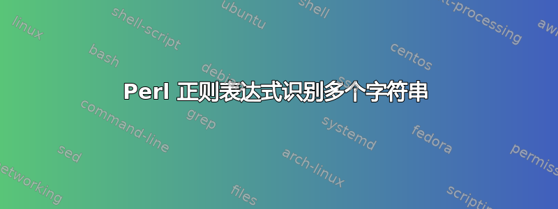 Perl 正则表达式识别多个字符串