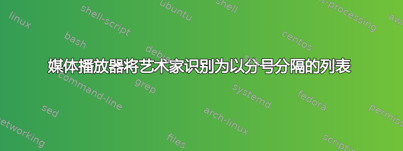 媒体播放器将艺术家识别为以分号分隔的列表