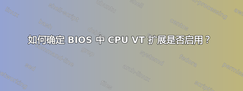 如何确定 BIOS 中 CPU VT 扩展是否启用？