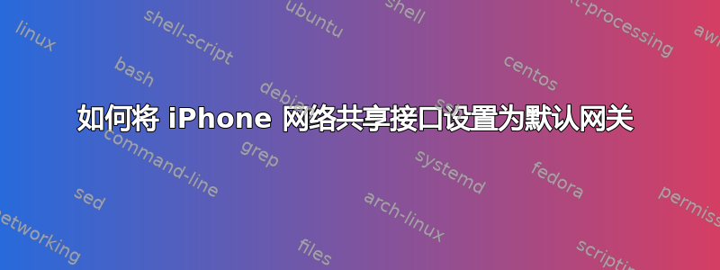 如何将 iPhone 网络共享接口设置为默认网关