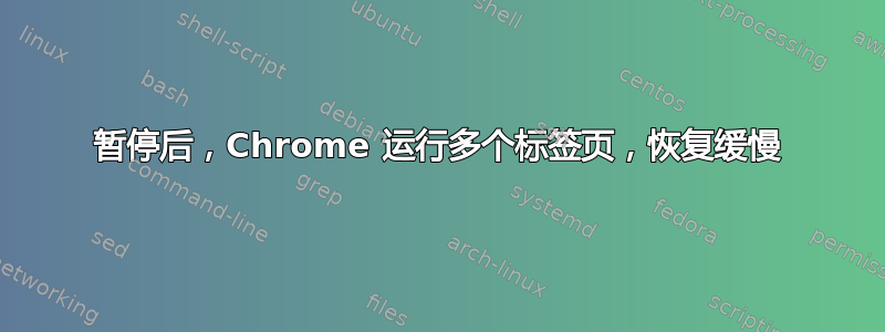 暂停后，Chrome 运行多个标签页，恢复缓慢