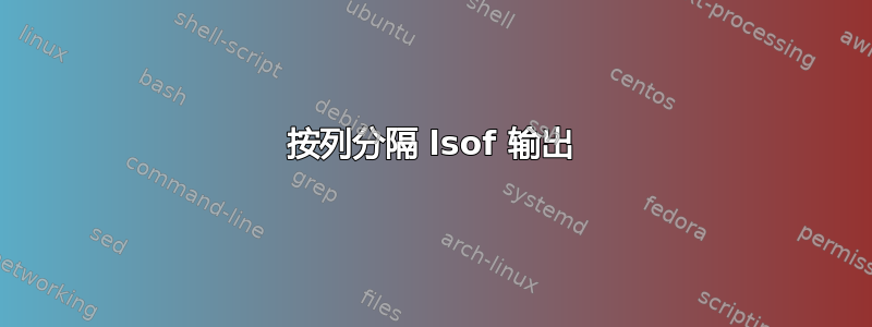 按列分隔 lsof 输出