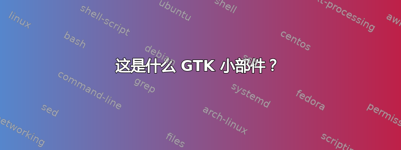 这是什么 GTK 小部件？