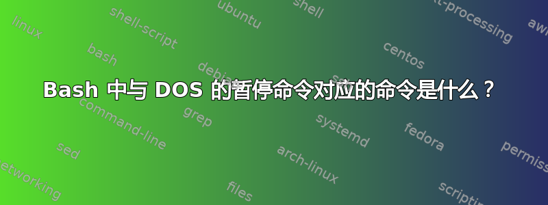 Bash 中与 DOS 的暂停命令对应的命令是什么？