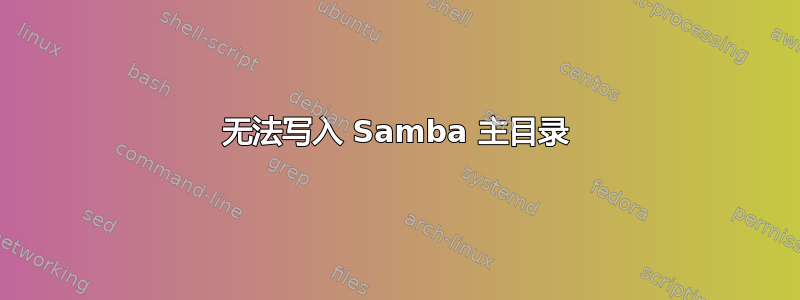 无法写入 Samba 主目录