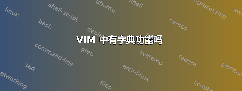 VIM 中有字典功能吗