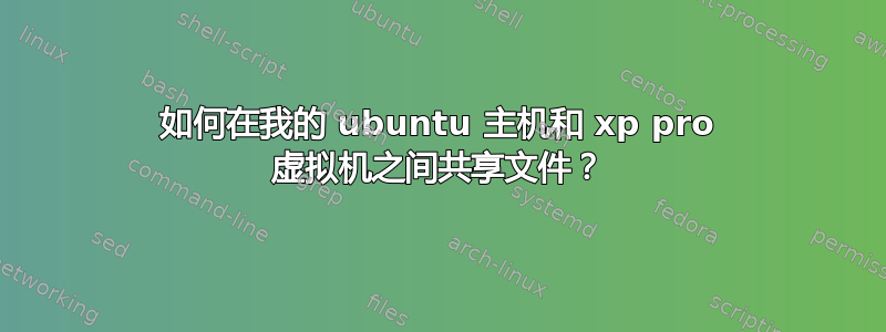 如何在我的 ubuntu 主机和 xp pro 虚拟机之间共享文件？