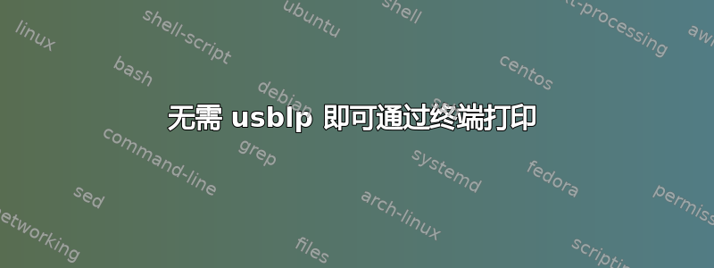 无需 usblp 即可通过终端打印