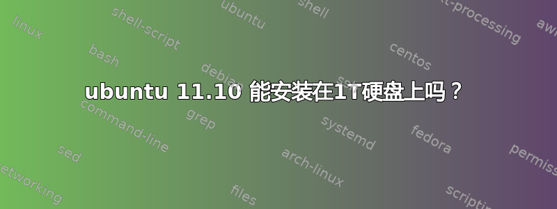 ubuntu 11.10 能安装在1T硬盘上吗？