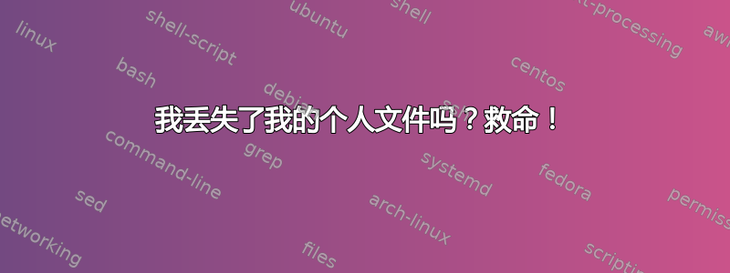 我丢失了我的个人文件吗？救命！