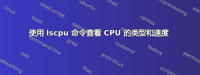 使用 lscpu 命令查看 CPU 的类型和速度