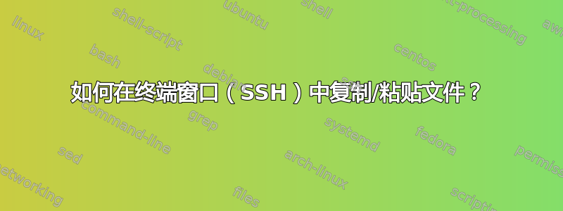 如何在终端窗口（SSH）中复制/粘贴文件？