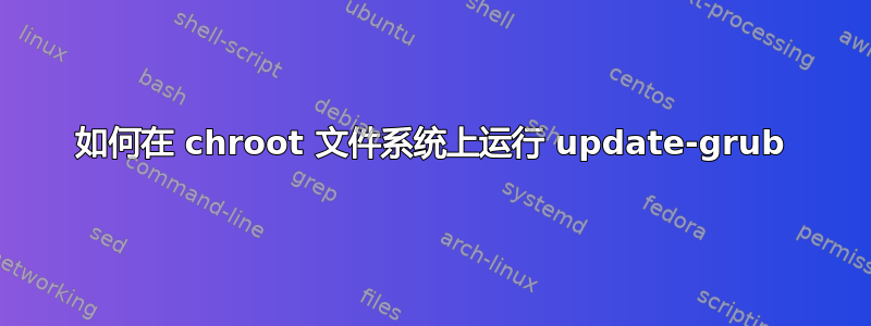 如何在 chroot 文件系统上运行 update-grub