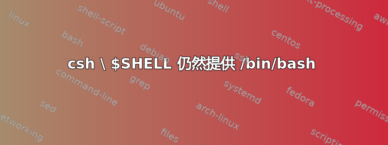 csh \ $SHELL 仍然提供 /bin/bash