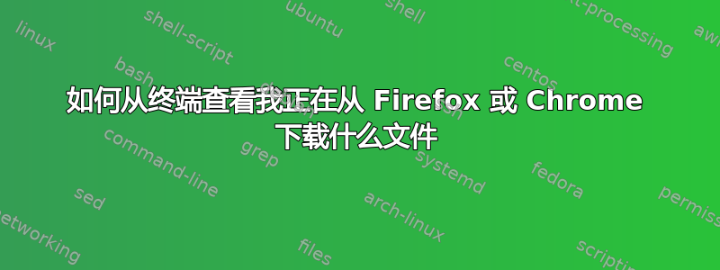 如何从终端查看我正在从 Firefox 或 Chrome 下载什么文件