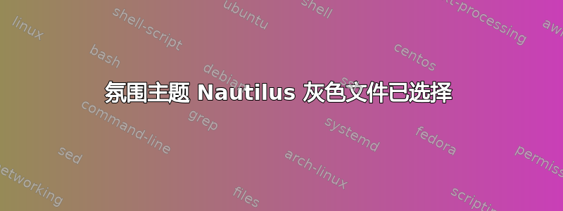 氛围主题 Nautilus 灰色文件已选择