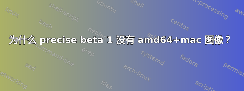 为什么 precise beta 1 没有 amd64+mac 图像？