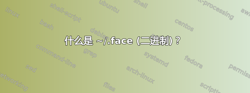 什么是 ~/.face (二进制)？