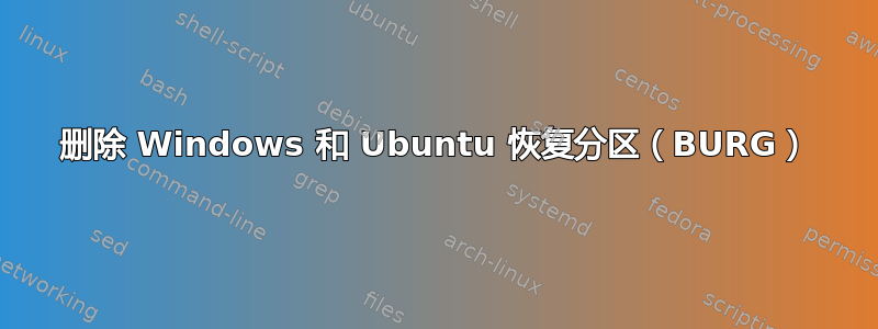 删除 Windows 和 Ubuntu 恢复分区（BURG）