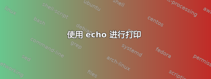 使用 echo 进行打印