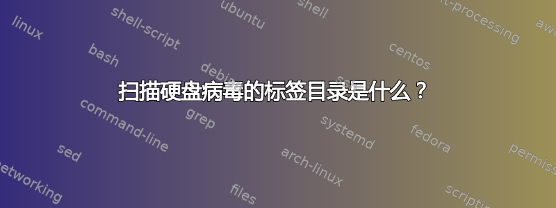 扫描硬盘病毒的标签目录是什么？