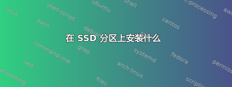 在 SSD 分区上安装什么 