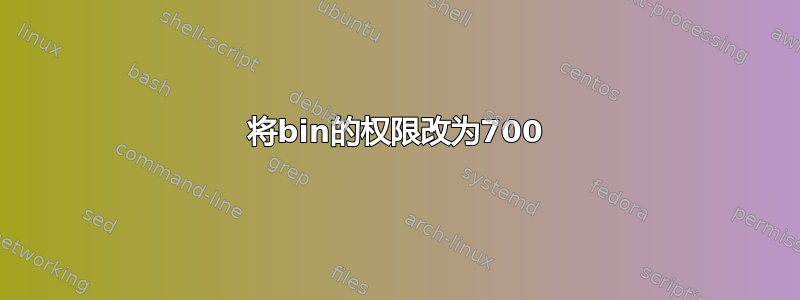 将bin的权限改为700